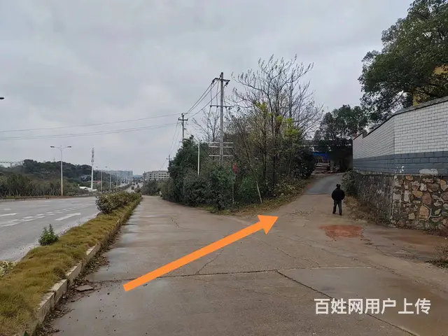 （老板本人）岳麓区黄桥大道辅道旁厂房仓库房东出租  5750 - 图片 10