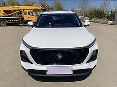 宝骏RS-3 2020款 1.5 无级 24小时在线豪华型