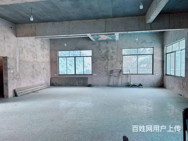 （老板本人）岳麓区岳宁大道旁独门独院房屋厂房仓库出租5915 - 图片 2