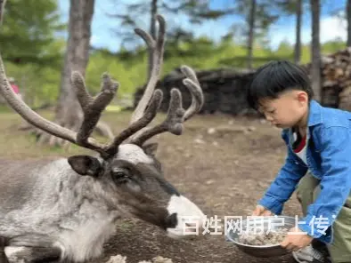 呼伦贝尔满洲里呼伦贝尔包车师傅海拉尔旅游包车师傅价格呼伦贝尔 - 图片 3
