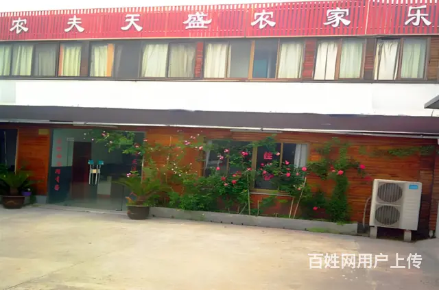 苏州西山岛农家乐包吃包住橘子采摘游品太湖蟹 - 图片 4