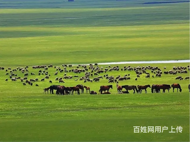 呼伦贝尔旅游租车师傅巴特尔 - 图片 1