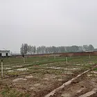洛阳市洛龙区16亩空地出租
