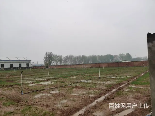 洛阳市洛龙区16亩空地出租 - 图片 1