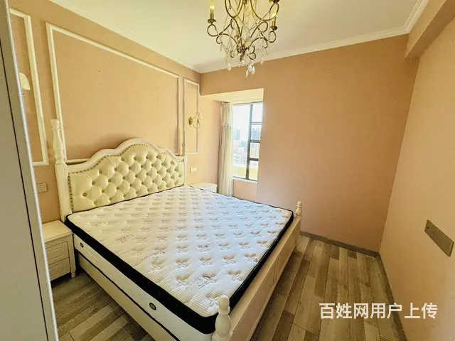 东湖城二期 婚房次出租 中央空调 华侨城对面 园林 - 图片 8