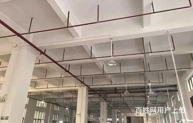 D9 I59 O5O9 6588罗山街道后林延林东路厂房 - 图片 3