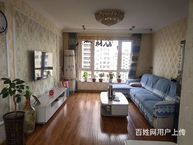 南北通透 - 图片 1