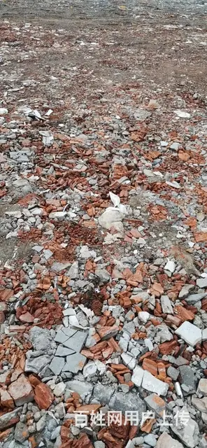 千灯空地出租6亩 - 图片