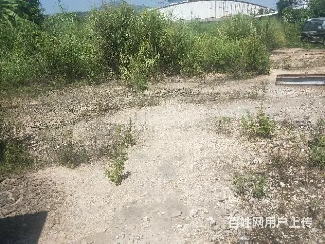出租普宁中药市场周边空地约10亩 - 图片 4
