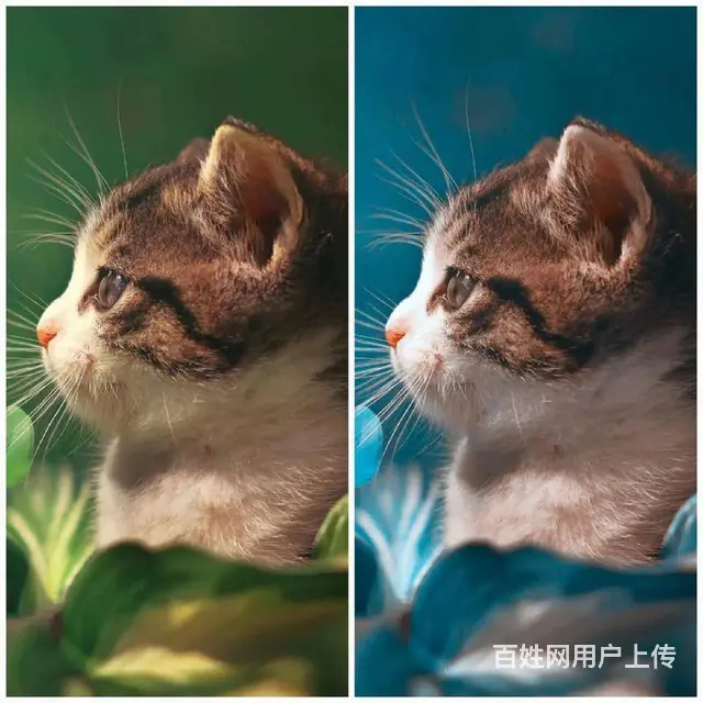 赤峰PS软件从入门到精通轻松掌握 - 图片