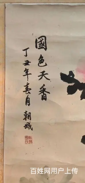 国色牡丹 - 图片 7
