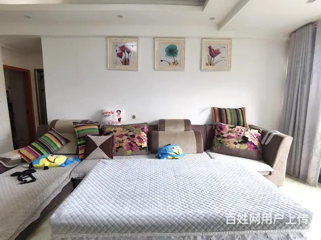 实验1小旁和诚家园2室产证齐全采光视野好看南山公园带晾晒露台 - 图片 7