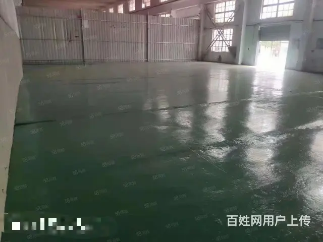 经区环山蓝玻物流园附近纯一层260平厂房出租 - 图片 2