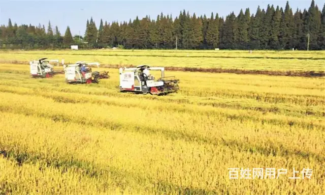 攸县到长沙拼车黑车电话号码 - 图片