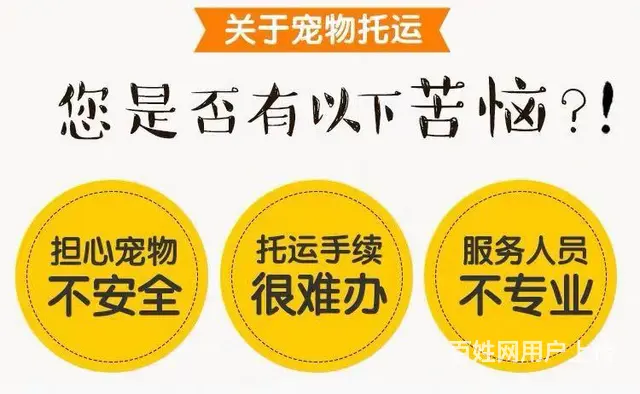常州宠物托运公司，托运宠物，上门接宠 - 图片 4