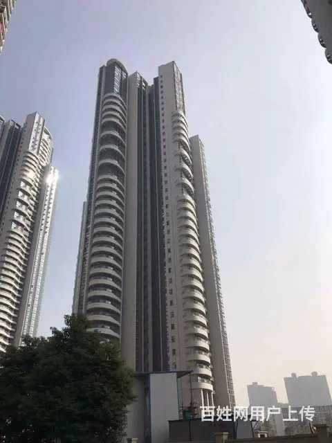 简约干净风 近东亭 沙湖公园 都市经典 桃源国际 - 图片 11
