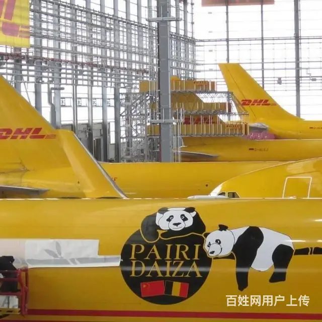 常州DHL快递+金坛DHL快递+金坛DHL国际快递 - 图片 4