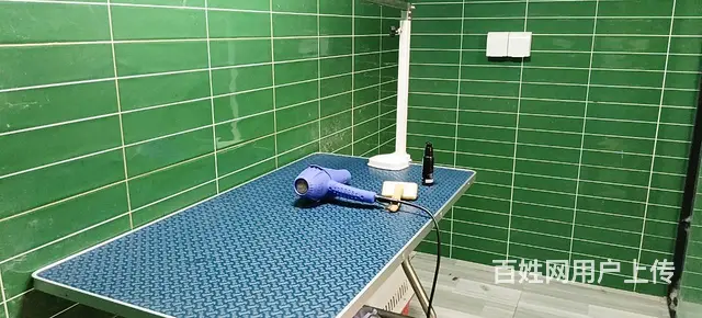 （老板本人）临街宠物店优价转让  5629 - 图片 3