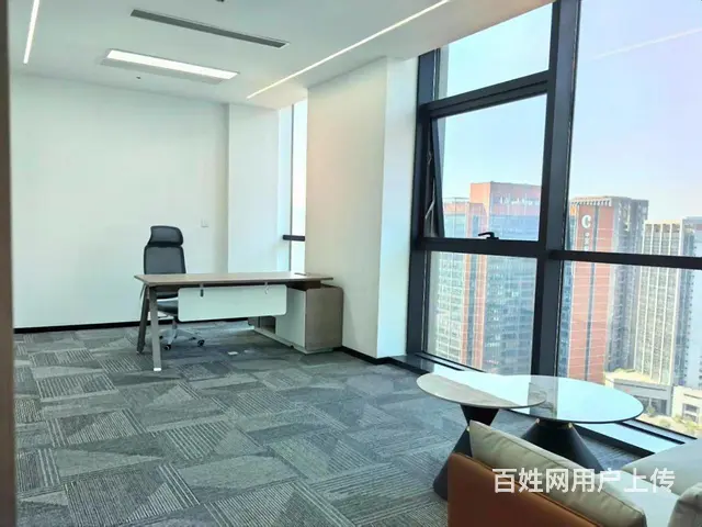 江陵路地铁口，甲方直租，小户型精装带家具，自带豪华配套 - 图片 5