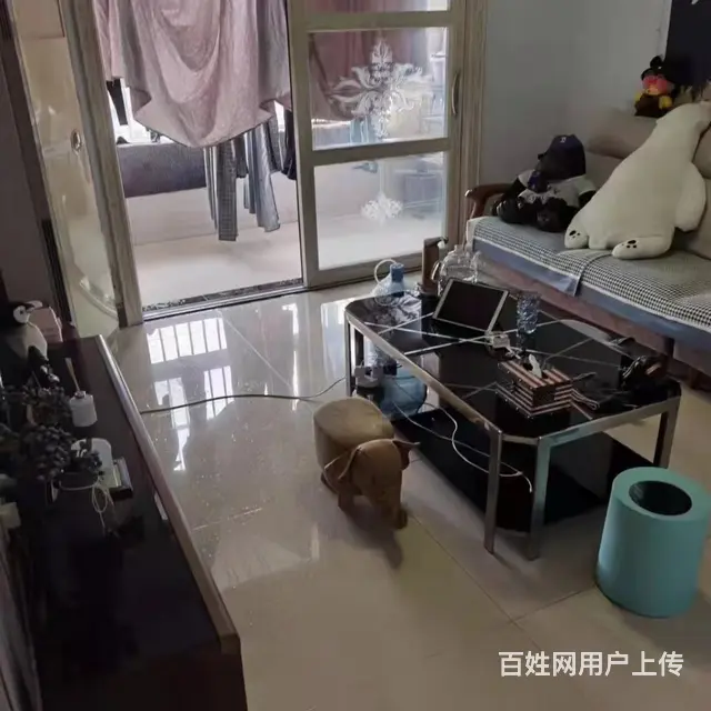 中安道南里三期 2室2厅 精装修地暖，拎包入住的图片