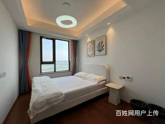 出门武汉站 东湖旁 近杨春湖实验学校 欢乐天际 徐 - 图片 9