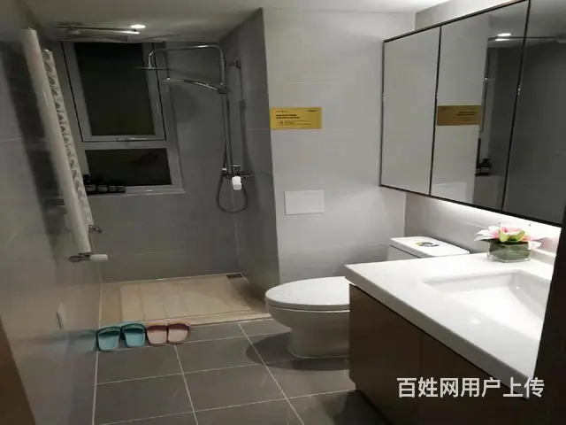 祥隆都会里，永铭中学，顶账房，精装修带车位 - 图片 7