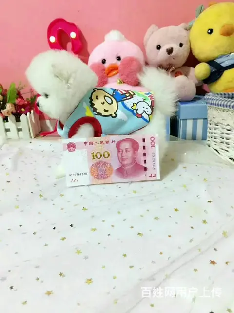 博美幼犬出售 出售哈多利博美 英系球体博美 - 图片 5