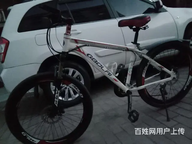 【搞定了！】宝来山地自行车 - 图片 2