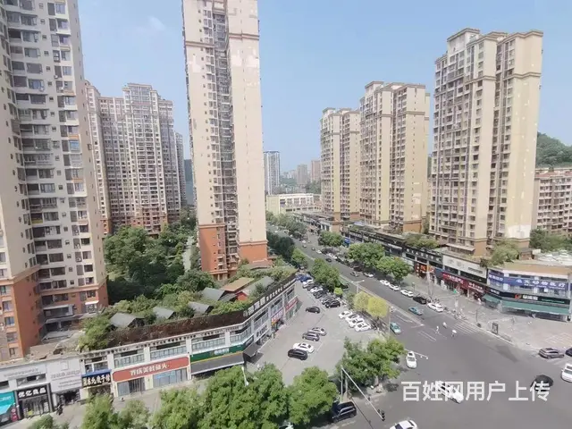 白土坝电梯公寓精装两室 普通住宅2厅 精装修 - 图片 2