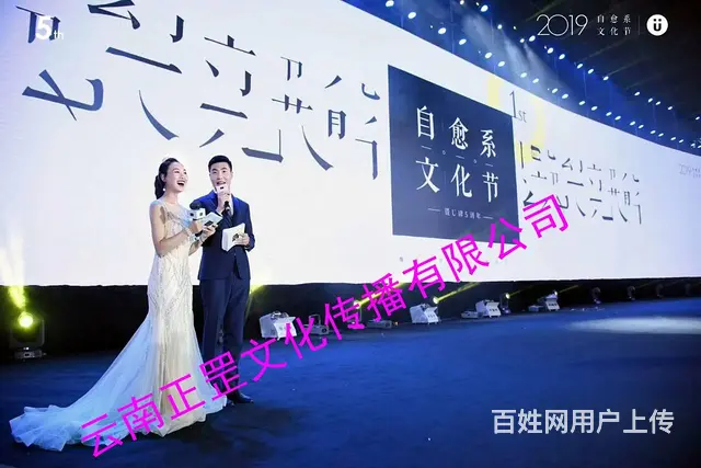 舞台、灯光音响、LED屏、桌椅、桁架、雷亚架、空飘 - 图片 12