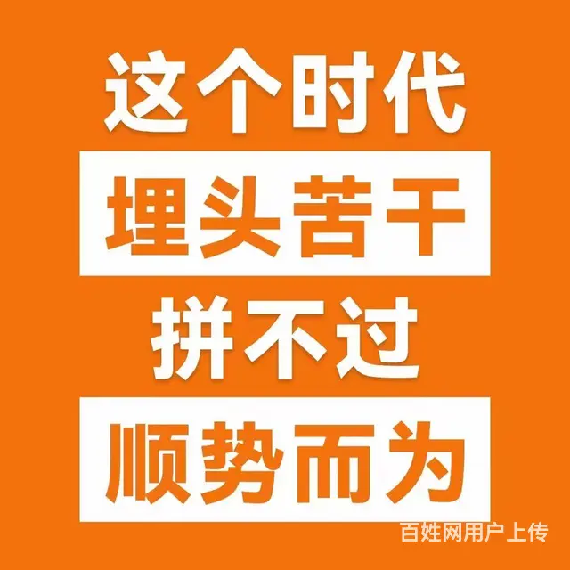 税务咨询 - 图片 2