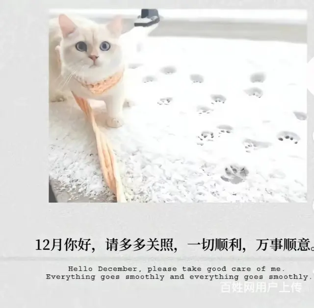 昆山雇主责任险怎么买 - 图片