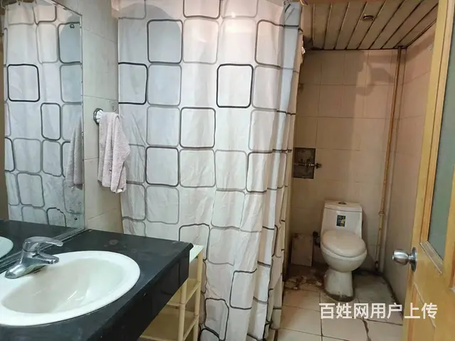 南昌路  洛浦公园旁 兴隆花园  双气入户  三室两厅两卫 - 图片 11