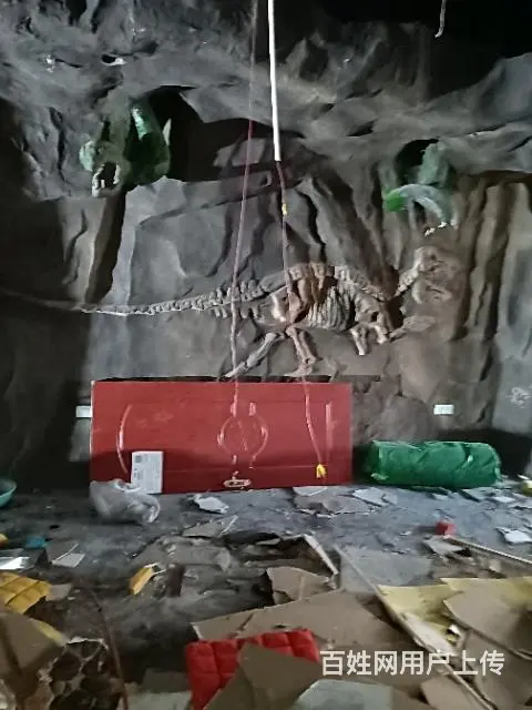 专业拆除 - 图片 5