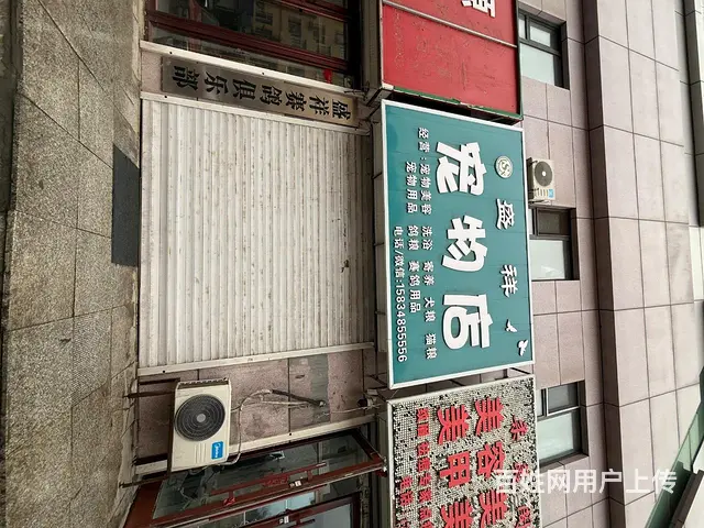 聘宠物美容师 - 图片