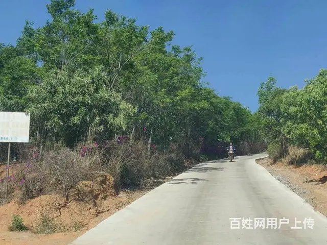 4782（商客网）宜良狗街镇290亩板栗园林地低价转让/出售 - 图片 1