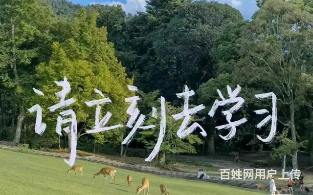 张家港机械制图培训-机械制图要学什么软件 - 图片