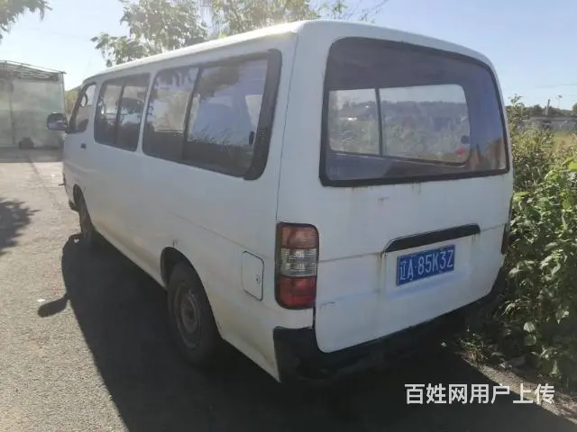 金杯海狮 - 图片 3
