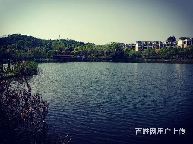 前后花园电梯防空洞近400平豪宅 - 图片 3