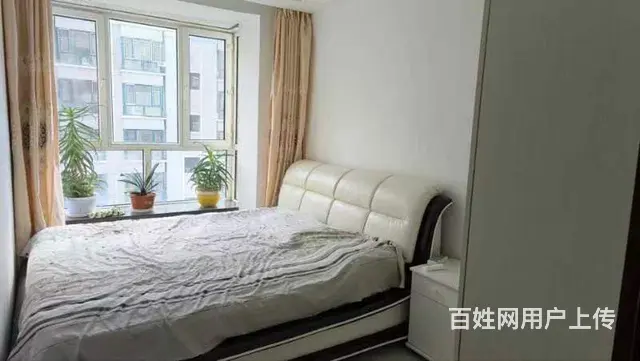 九小九中校区房 - 图片 4