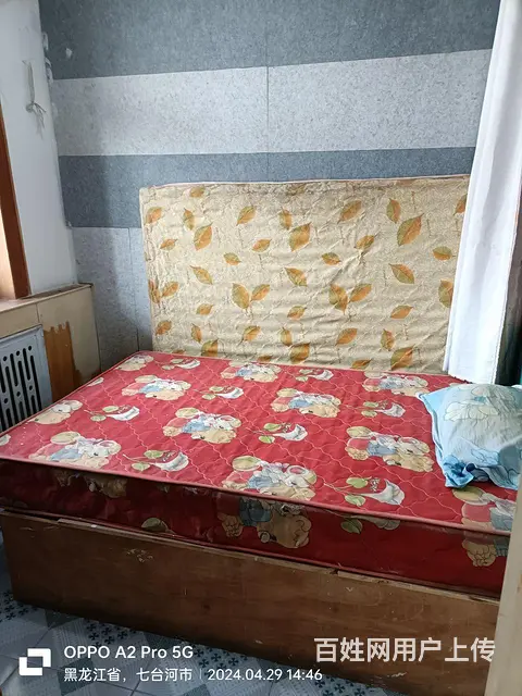 出租房屋 - 图片 5
