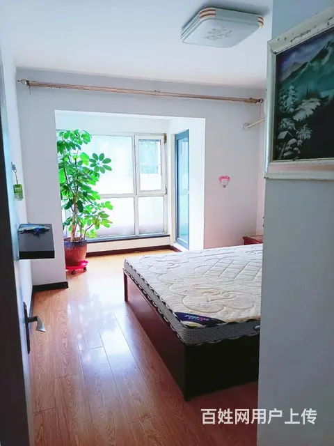 出租 - 图片 3