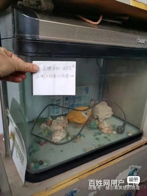 八成新生态鱼缸 - 图片