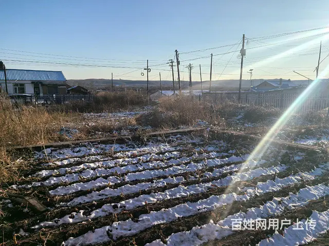西岗子镇 230 平 15.6 万 1560 平院子 - 图片 1