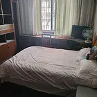 一楼星期房弋矶山医院北门口公寓