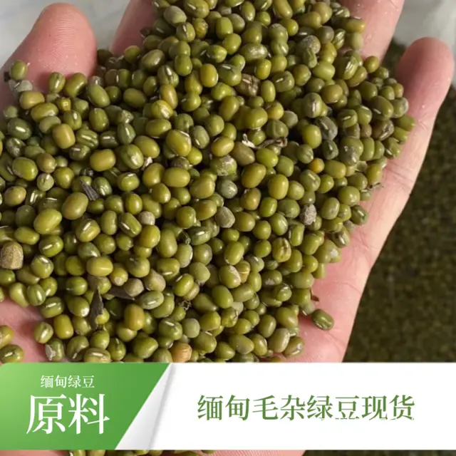 缅甸大厂区绿豆 油绿豆原粮大量供应量大价优欢迎采购 - 图片 1