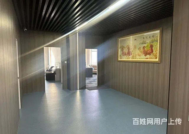高区整层新装修办公室出租  ​ - 图片 1