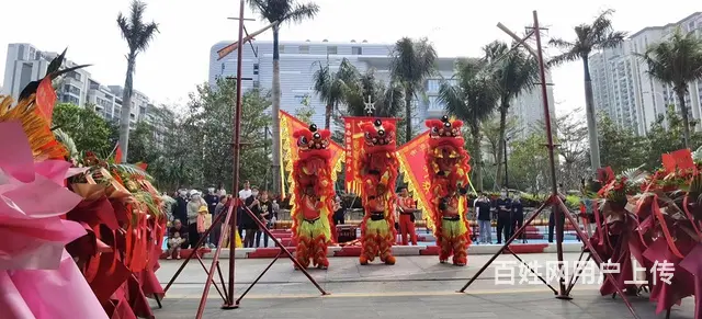 开业庆典/舞龙舞狮 - 图片 5