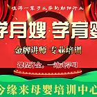 专业培训母婴护理丨育儿嫂丨催乳丨产康 今缘来家政培