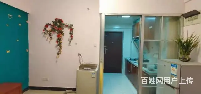 中信湘雅省妇幼 十二兽 省博物馆旁 电梯公寓房转租 - 图片 4